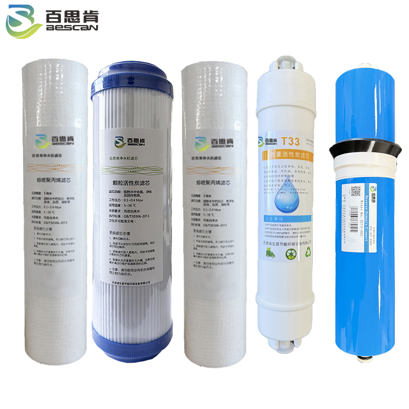 百思肯净水机滤芯五级套装BSK-W10(套)