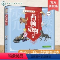 [正版] 少儿读经典 西顿动物记 注音版 课外故事 6-8-10岁小学生儿童文学一二三四年级课外阅读故事书经典名著书籍