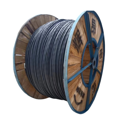辉昂 橡套软电缆 YC/YCW 450/750V -1*16平方 米