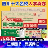 324套试卷[共2本]语文+数学 [正版]2025版四川十大名校入学真卷语文数学小升初历年真题试卷 考进名校题库招生分班