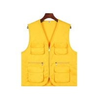 阿祺果 马甲 A24 件