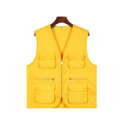 阿祺果 马甲 A24 件