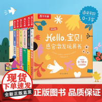 Hello宝贝感官激发玩具书 0-3岁 视觉激发色彩感知肢体动作发声书触摸书语言锻炼启蒙认知互动纸板书