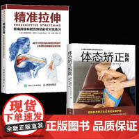 精准拉伸疼痛消除和损伤预防的针对性练习 办公室人群精准拉伸疼痛缓解 运动康覆肌肉放松腰腿肩颈精准拉伸 动态拉伸训练图解
