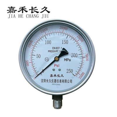 嘉禾长久 不锈钢耐震压力表 YTN150 0-250MPa 台