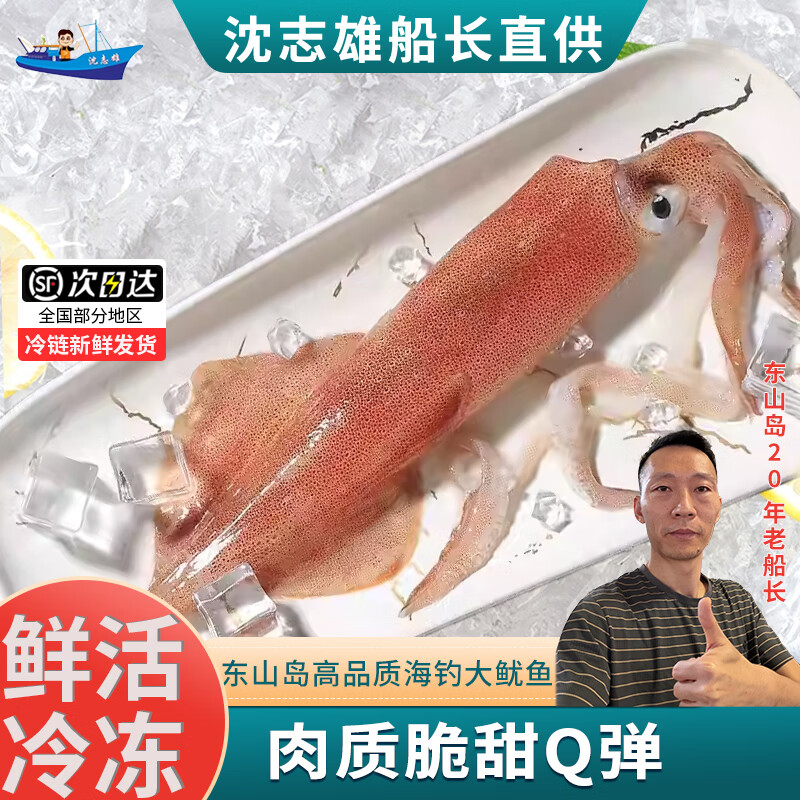 [国产][已通过核酸检测]沈志雄 东山岛海鲜大鱿鱼海钓大管鲜活速冻 2-6条 共2斤