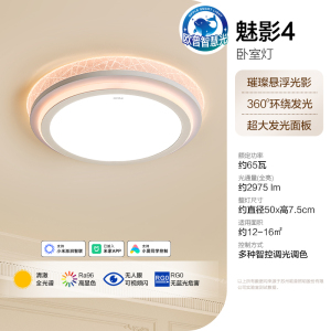 欧普照明轻奢装饰客厅灯吸顶灯超大瓦数高亮吸顶灯灯具家用