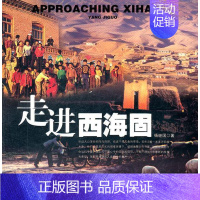 [正版] 西海固 杨继国 书店 旅游、地图书籍 畅想书