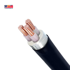 常顺鑫 低压铜芯电缆ZC-YJV22 3×95 米