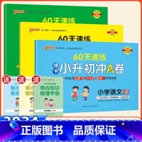 [速记套装推荐]语数英+单词全套4本 小学升初中 [正版]2024新版绿卡60天速练小升初冲A卷真题卷语文数学英语 必刷