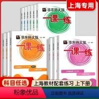 [3册]语数英 普通版 七年级上 [正版]华东师大版一课一练七年级上册下册语文数学英语普通版加强版7年级一课一练 同步课