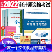 [友一个正版]2022年审计师考试教材历年真题及全真模拟试卷初级中级审计理论与实务+审计专业相关知识审计师中级考试初级