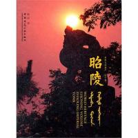 正版新书]昭陵赵琛9787112136049