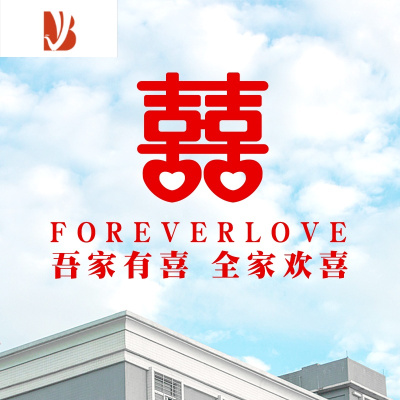 喜字贴纸婚房装饰房间婚礼窗贴结婚门贴个性婚庆窗花静电贴 吾家有喜