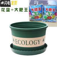 三维工匠塑料玫瑰盆栽花肉肉绿萝月季专用加伦树脂家用特大号超大加仑花 [3个盆]+大肥王3包 矮胖5.5L(口径2花盆容器