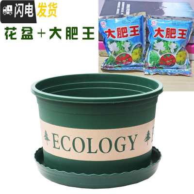 三维工匠塑料玫瑰盆栽花肉肉绿萝月季专用加伦树脂家用特大号超大加仑花 [3个盆]+大肥王3包 矮胖5.5L(口径2花盆容器