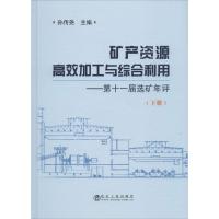 矿产资源高效加工与综合利用 第十一届选矿年评(下册)