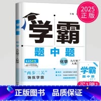 化学 九年级/初中三年级 [正版]2025学霸题中题九年级下册化学人教版江苏初三下学期初中化学9年级课堂作业同步资料辅导