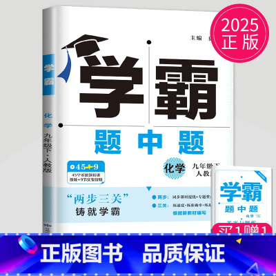 化学 九年级/初中三年级 [正版]2025学霸题中题九年级下册化学人教版江苏初三下学期初中化学9年级课堂作业同步资料辅导