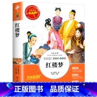 [单本]红楼梦 [正版] 四大名着小学生版全套五六年级上下册必读课外书原着三国演义故事书白话文西游记儿童水浒传红楼梦小学