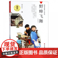 野蜂飞舞 黄蓓佳倾情小说系列正版儿童文学小说/青少年版小