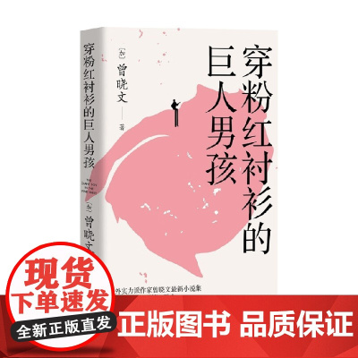 穿粉红衬衫的巨人男孩 曾晓文 著 小说