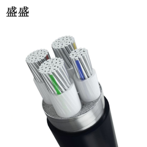 盛盛 铠装铝芯电缆 YJLV22 3*95+1*50 米