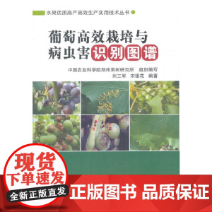 葡萄高效栽培与病虫害识别图谱