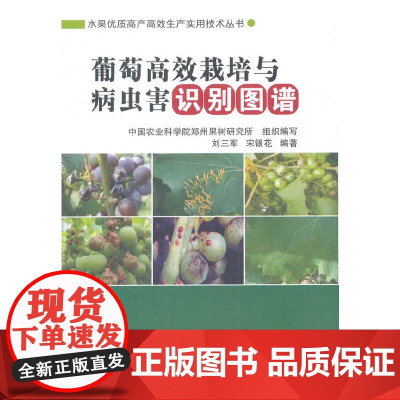 葡萄高效栽培与病虫害识别图谱