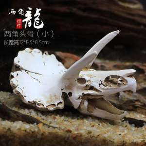 仿真恐龙骷颅头骨躲避屋树脂假山水草造景头骨鱼缸水族箱装饰摆件