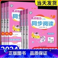 小学同步阅读 二年级上 [正版]2024新版 亮点给力小学同步阅读语文一二三四五六年级上小学阅读练习天天练强化训练阅读专