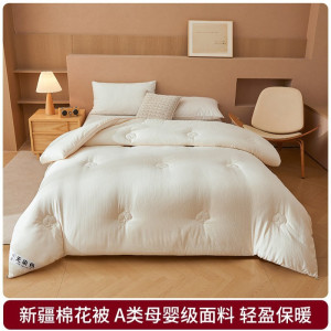 新疆纯棉花被子冬被加厚宿舍单人学生春秋被芯絮四季通用