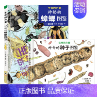 [全2册]神秘的蟑螂图鉴+神奇的种子图鉴 [正版]生命的力量神秘的蟑螂图鉴神奇的种子图鉴 自然科学绘本昆虫百科知识启蒙书