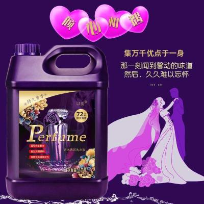 特价-香水洗衣液香味持久低泡深层去污洁净无荧光剂大桶5kg实惠款