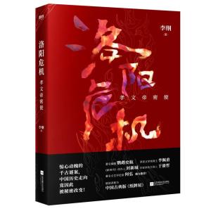正版新书]洛阳危机:孝文帝密使李纲9787559435095