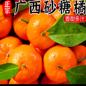 鲜贝达 广西砂糖橘5斤装 新鲜水果橘子 象州砂糖桔子