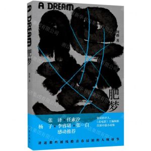 [N]肥梦-9787521214406