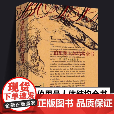 [正版]伯里曼人体结构全书袖珍版便携小开本 人体人物绘画教学素描大师速写临摹基础入门技法教程动漫画手解剖 美术艺考书籍