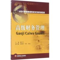 高级财务管理/21世纪普通高等院校系列规划教材