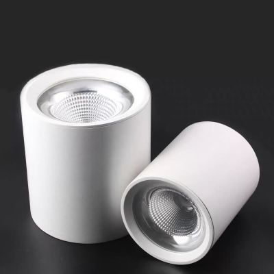 鑫彪明装高顶灯筒灯OC-SMCOB-1302-110MM/20W/盏