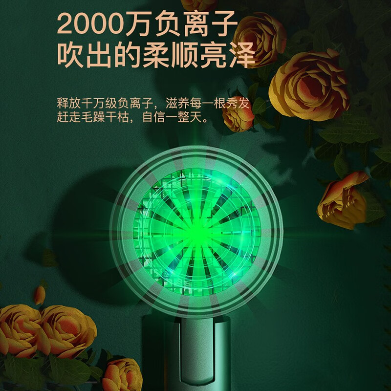 雷瓦(RIWA) 千万级负离子护发家用吹风机 大风量速干大功率便携可折叠恒温吹风筒 RC-7305