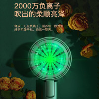 雷瓦(RIWA) 千万级负离子护发家用吹风机 大风量速干大功率便携可折叠恒温吹风筒 RC-7305