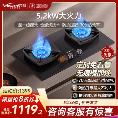 万和(Vanward)[超省星G9·定时无印面板]燃气双灶具5.2kW70%热效率烟灶家用定时关火煤气炉G9L56天然气