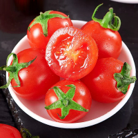[西沛生鲜]新鲜云南圣女果 番茄 净重5斤 现摘番茄水果自然熟孕妇蔬菜西红柿