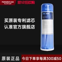 汉斯顿/Hunson 净水器净水伴侣后置 口感因子滤芯
