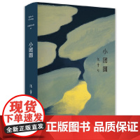 张爱玲全集05 小团圆 张爱玲的小说书正版 表达爱情的热情故事 中短篇小说集 现当代文学书籍 书