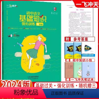 语文专项[基础知识] 七年级/初中一年级 [正版]2024版一飞冲天七年级语文数学英语专项训练首字母填空现代文阅读名著导