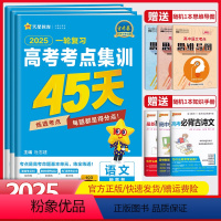 语数英[新高考版]套装 高考考点集训45天 [正版]金考卷2025高考考点集训45天语文数学英语物理化学生物政治历史地理