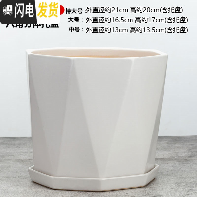 三维工匠大号花盆陶瓷带陶瓷分离托盘简约创意直筒绿萝特大号多肉花盆 八角051白色 [中号]花盆容器