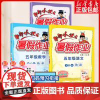 2023新版黄冈小状元暑假作业五六年级语文数学英语下册人教版小学五升六暑假衔接暑假作业专项训练